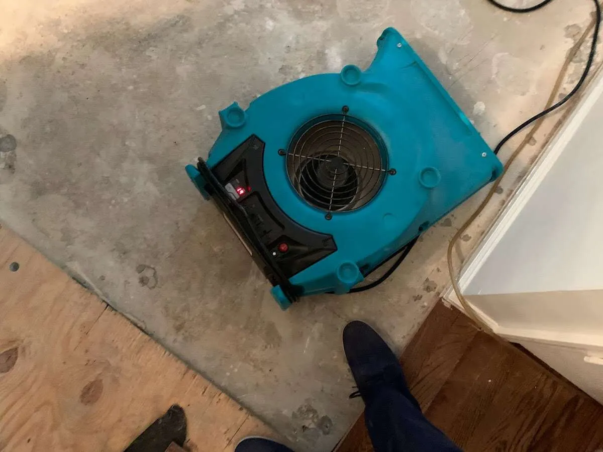 Air mover drying subfloor during Leak Detection & Repair in Latimer